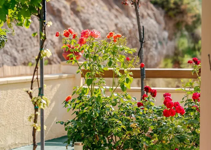 Dreamcatcher * 파스티다