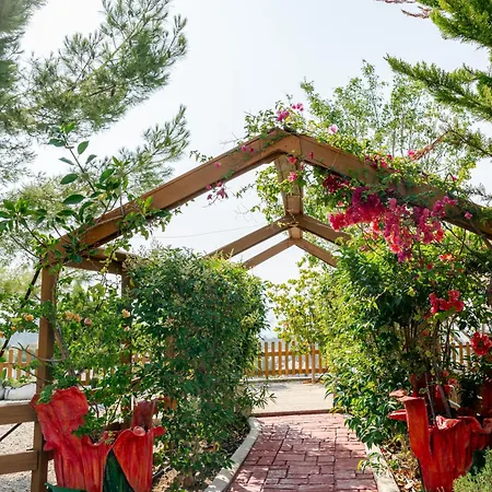 Dreamcatcher * Pasztída