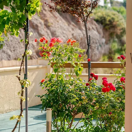 Dreamcatcher * Pastida