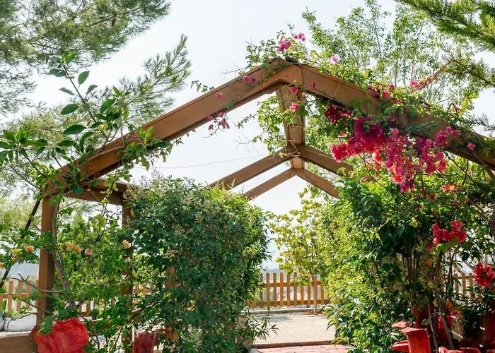 Dreamcatcher * Pastida